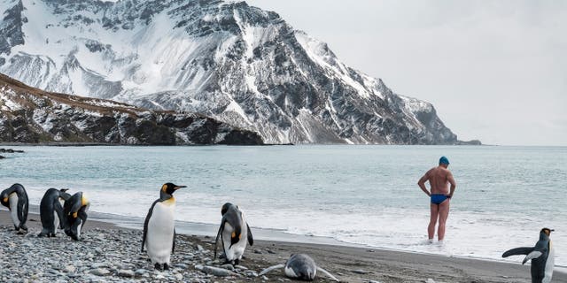 Mr Pugh wants to see protection of the seas around South Georgia and the South Sandwich Islands, a UK Overseas Territory where he swam last year (Lewis Pugh Foundation/PA)