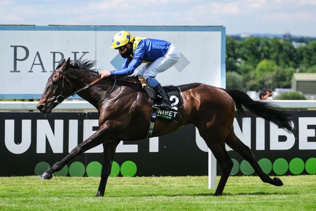 Solid Stone has had a good preparation