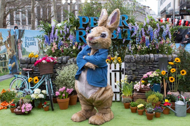 The real star of Beatrix Potter's Peter Rabbit (Rick Findler/PA)