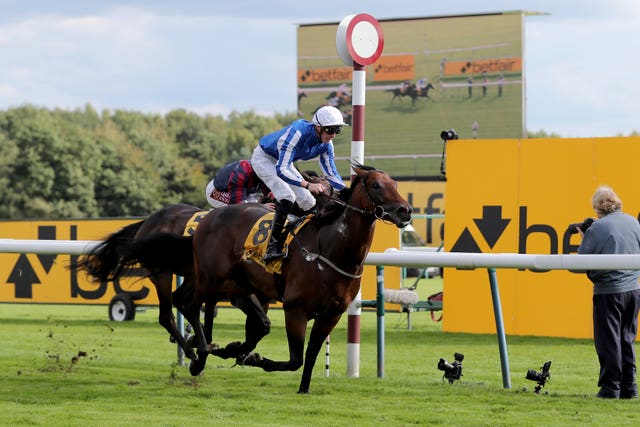 Hello Youmzain was a Group One winner for James Doyle last month