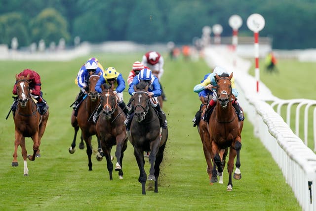 Al Zaraqaan (blue and white colours) is to drop back in trip after being beaten in the Jockey Club Stakes