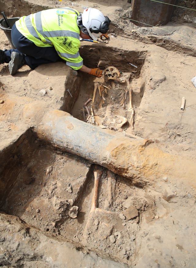 Skeleton
