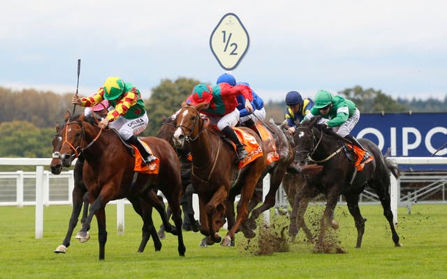 Richard Hannon hopes the ground is not too quick for Danehill Kodiac
