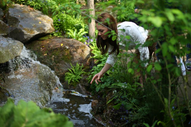 Chelsea Flower Show 2019