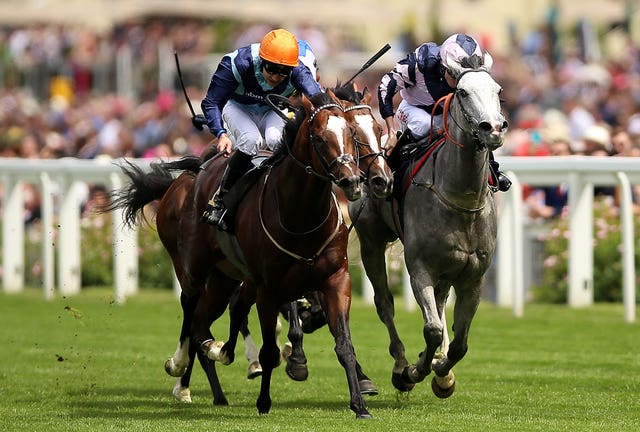 Accidental Agent was a hugely popular winner for Eve Johnson Houghton