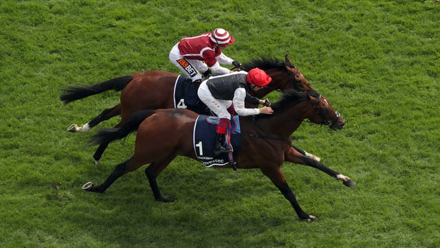 Cracksman was given a major fright by Salouen at Epsom