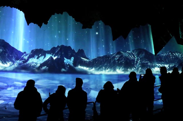 Edinburgh Zoo’s Christmas Nights