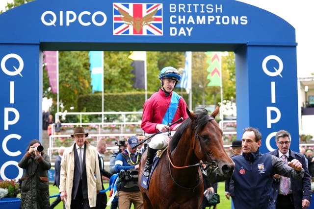 Bay Bridge won the Champion Stakes last year on Champions Day