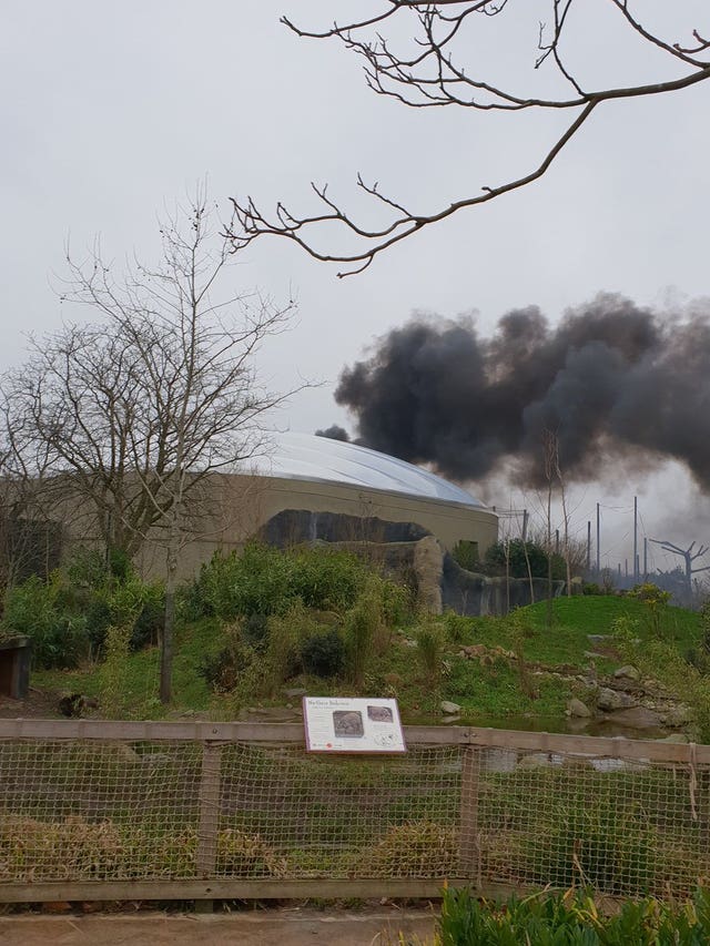 Chester Zoo fire