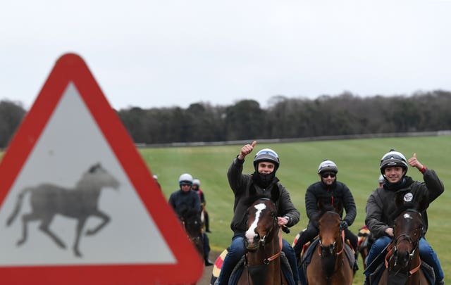 Horses from Roger Varian's stables on the Newmarket gallops