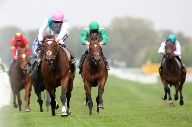 Frankel is an illustrious former winner of the Greenham