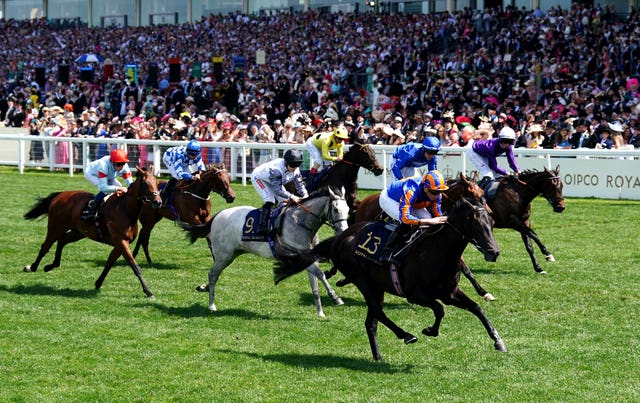 It was all very straightforward for Meditate in the opening Albany Stakes