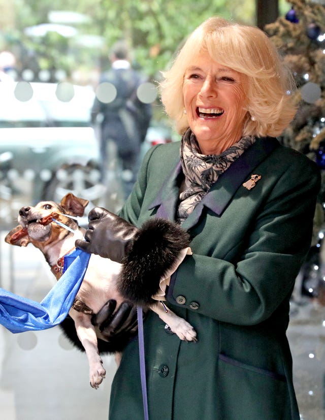 Camilla's dog Beth would not let go of the sausage after the unveiling. Steve Parsons/PA