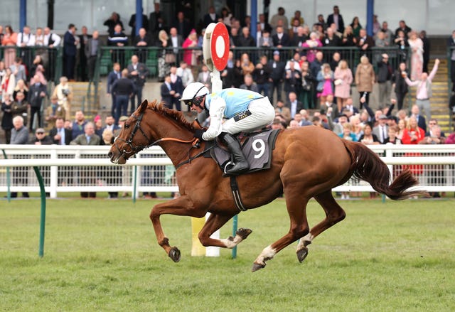 Stringtoyourbow and Jack Tudor completed the rout for bookmakers