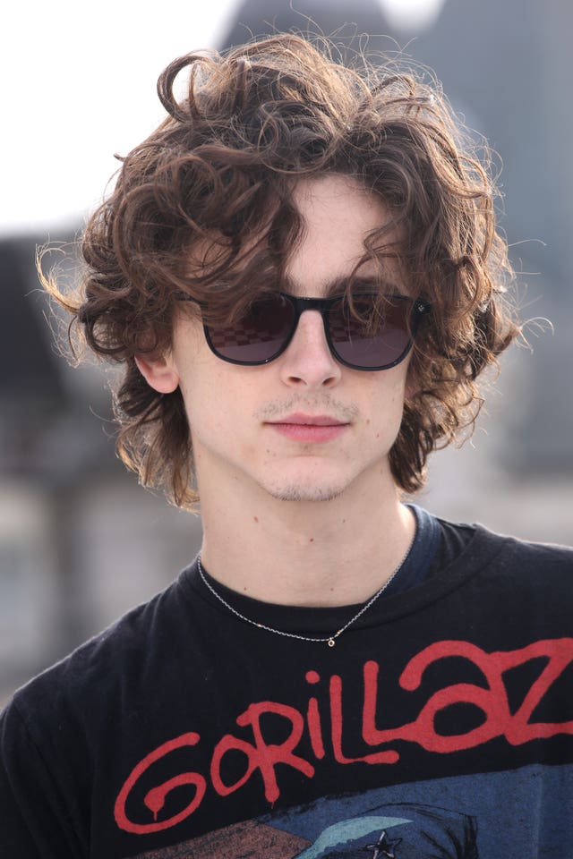 Timothee Chalamet