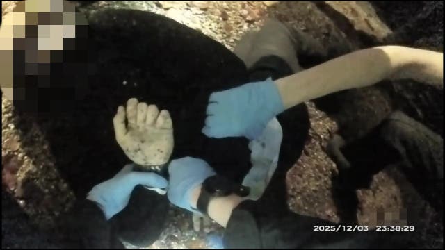 Screengrab from body-worn video released by police