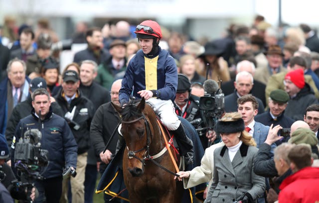 City Island and Mark Walsh return after their win in the Ballymore Novices’ Hurdle at Cheltenham