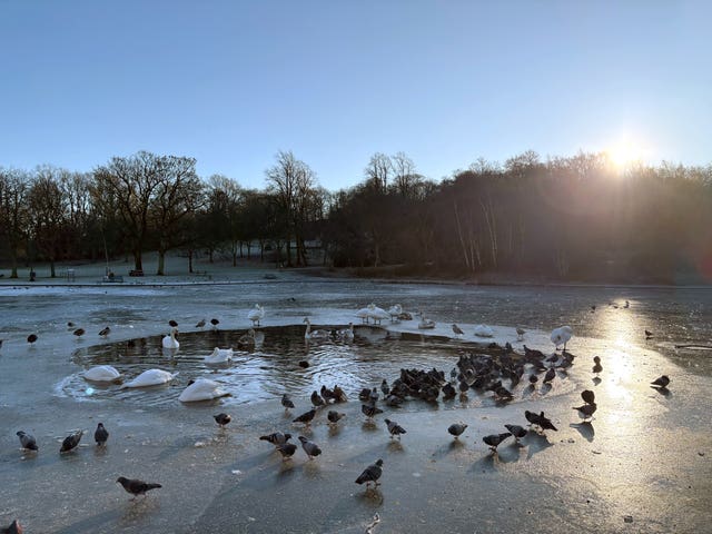 Frozen pond in Queens Park, Glasgow
