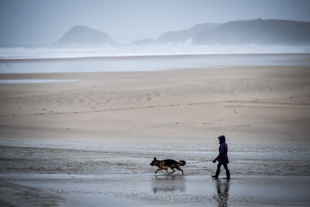Dog walker on beach