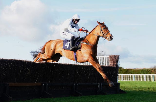 Red Rookie winning at Hereford