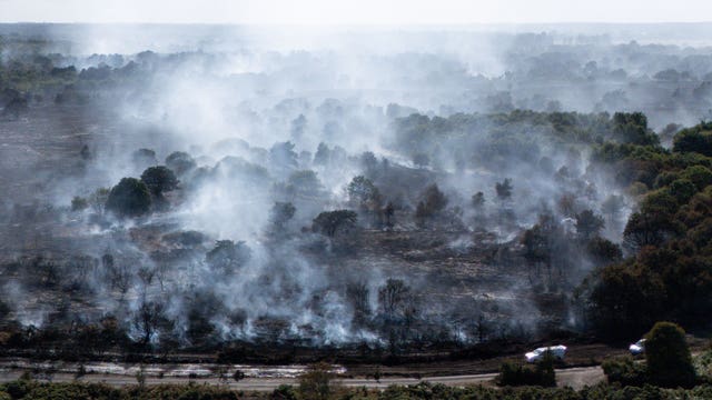Suffolk coast wildfire