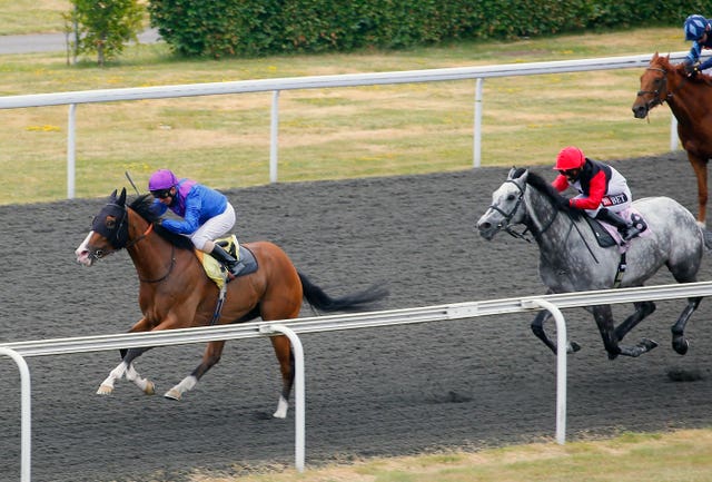 Palavecino at Kempton