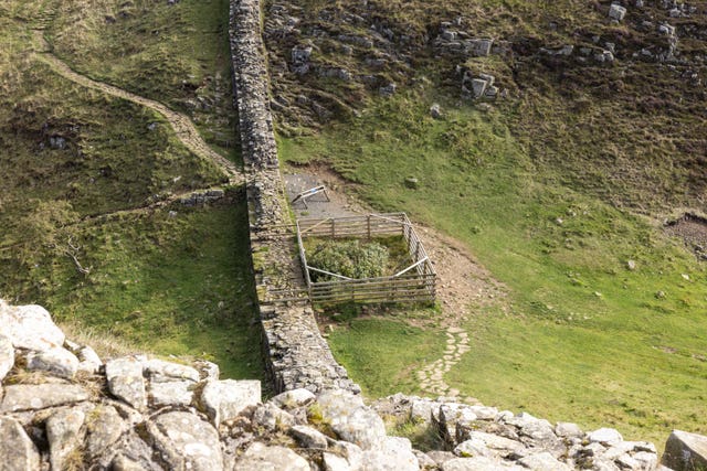 The stump sits next to Hadrian's Wall in Northumberland