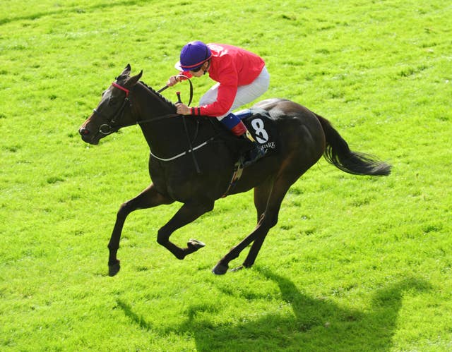 Group One-winning filly Skitter Scatter will be the star of the new John Oxx-Patrick Prendergast alliance