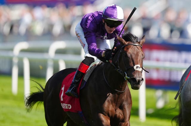 Benevento was a good winner at Doncaster last season