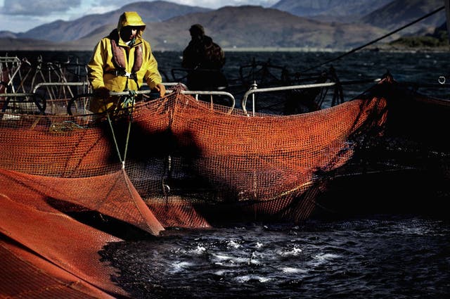 Loch Linnhe salmon farm