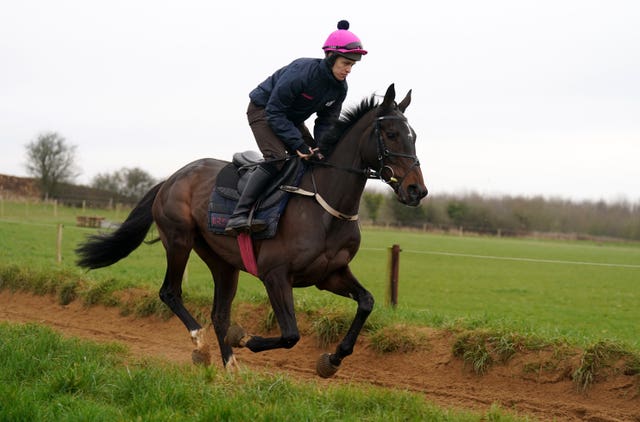 Dysart Enos on the gallops at Fergal O'Brien's yard