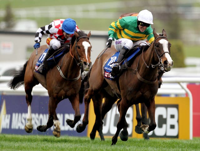 Synchronised was the second of McCoy's two Gold Cup winners 