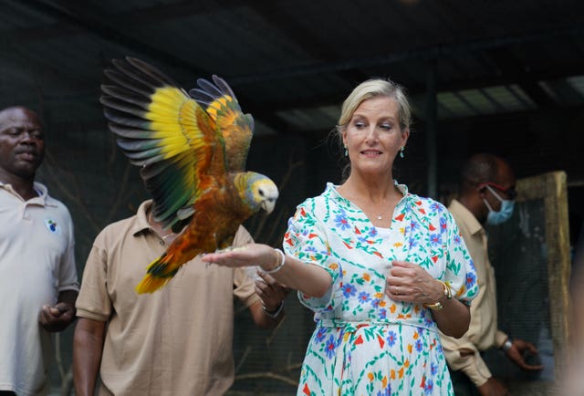 Earl and Countess of Wessex visit to the Caribbean – Day 2