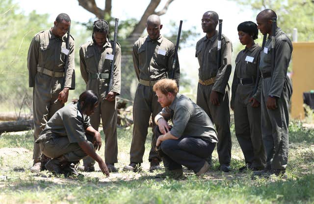 Harry in South Africa