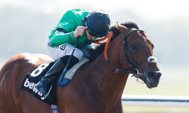 Kachy never saw another rival at Lingfield