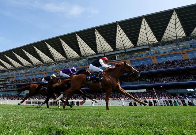 Mojo Star had to settle for second again