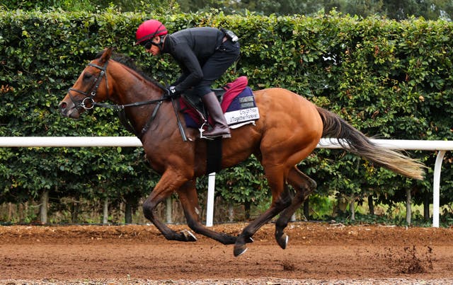 City Of Troy and Dean Gallagher on the Ballydoyle gallops