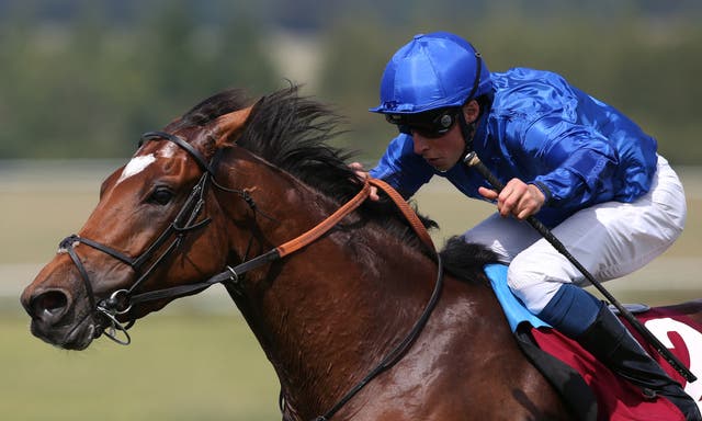 Cross Counter is no stranger to success at Goodwood