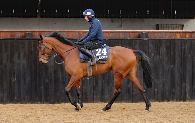 Envoi Allen looked in great shape at Gordon Elliott's yard last month