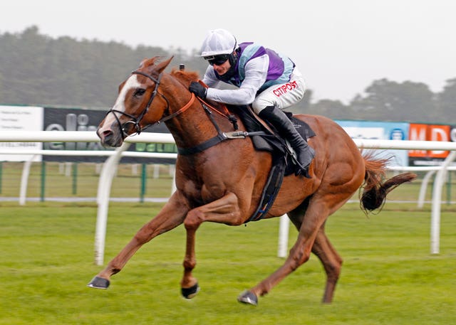 Socialist Agenda winner a Market Rasen bumper