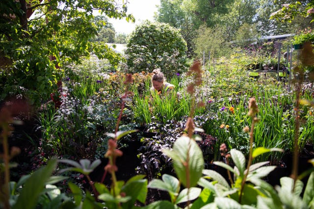 Visitors will be able to see show gardens and horticultural displays at the world famous flower show (Aaron Chown/PA)