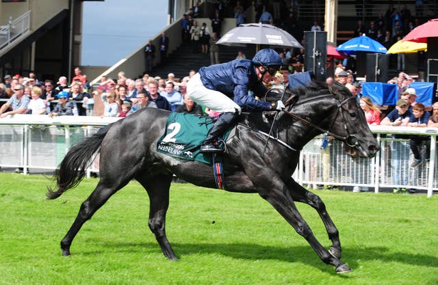 Caravaggio starred in the Phoenix Stakes last year