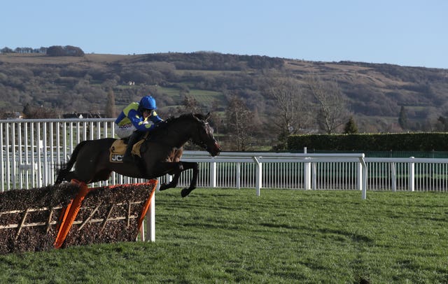 Langer Dan is expected to win his fair share of races next season (David Davies/PA)