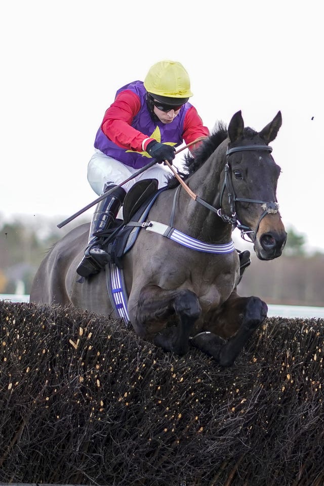 Dashel Drasher winning previously at Ascot