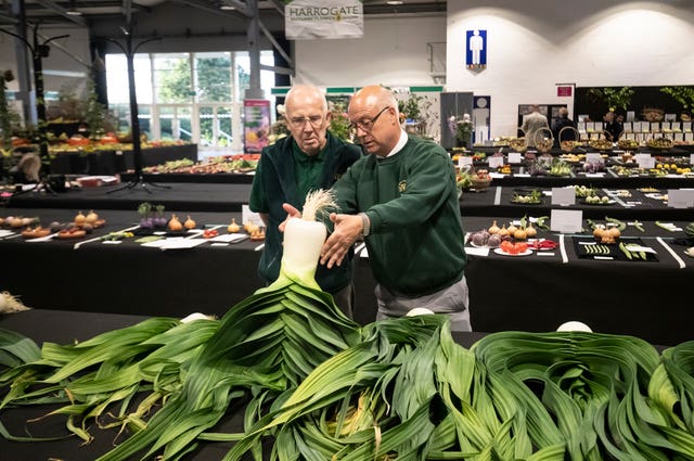 Harrogate Autumn Flower Show giant vegetable competition