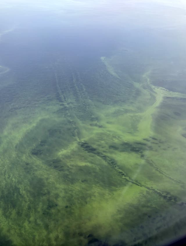 Lough Neagh