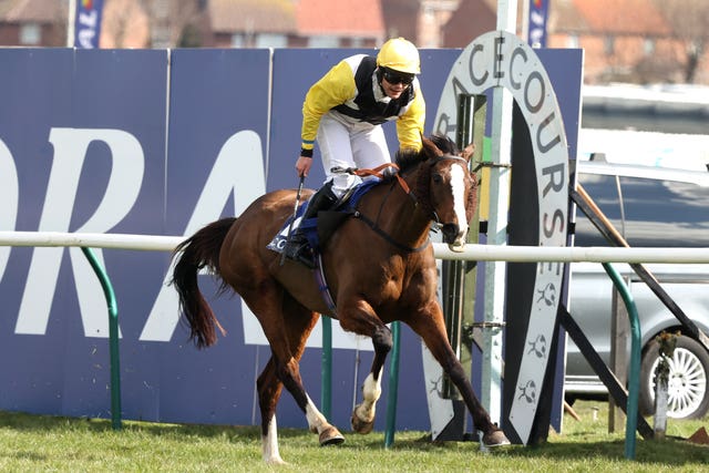 Win My Wings winning the Scottish Grand National
