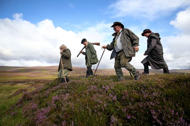 Grouse shooting party