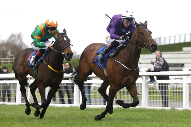 Arizona Blaze (purple) ran a stormer for Adrian Murray