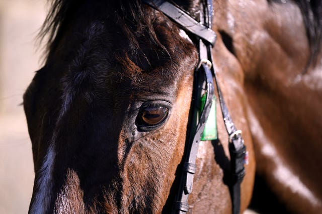 All eyes will be on Hewick at Aintree